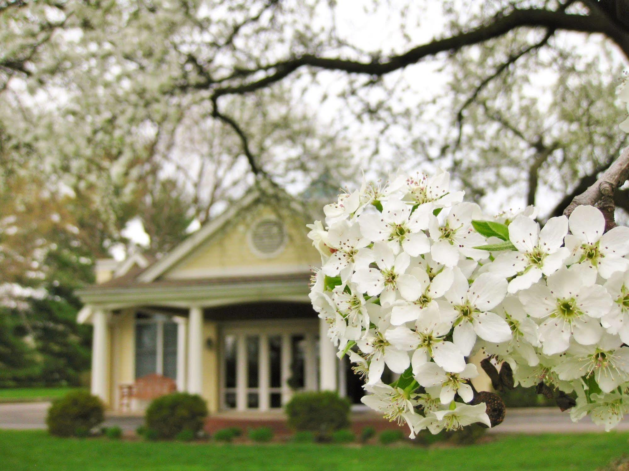 Kirkwood Inn Mason Dış mekan fotoğraf